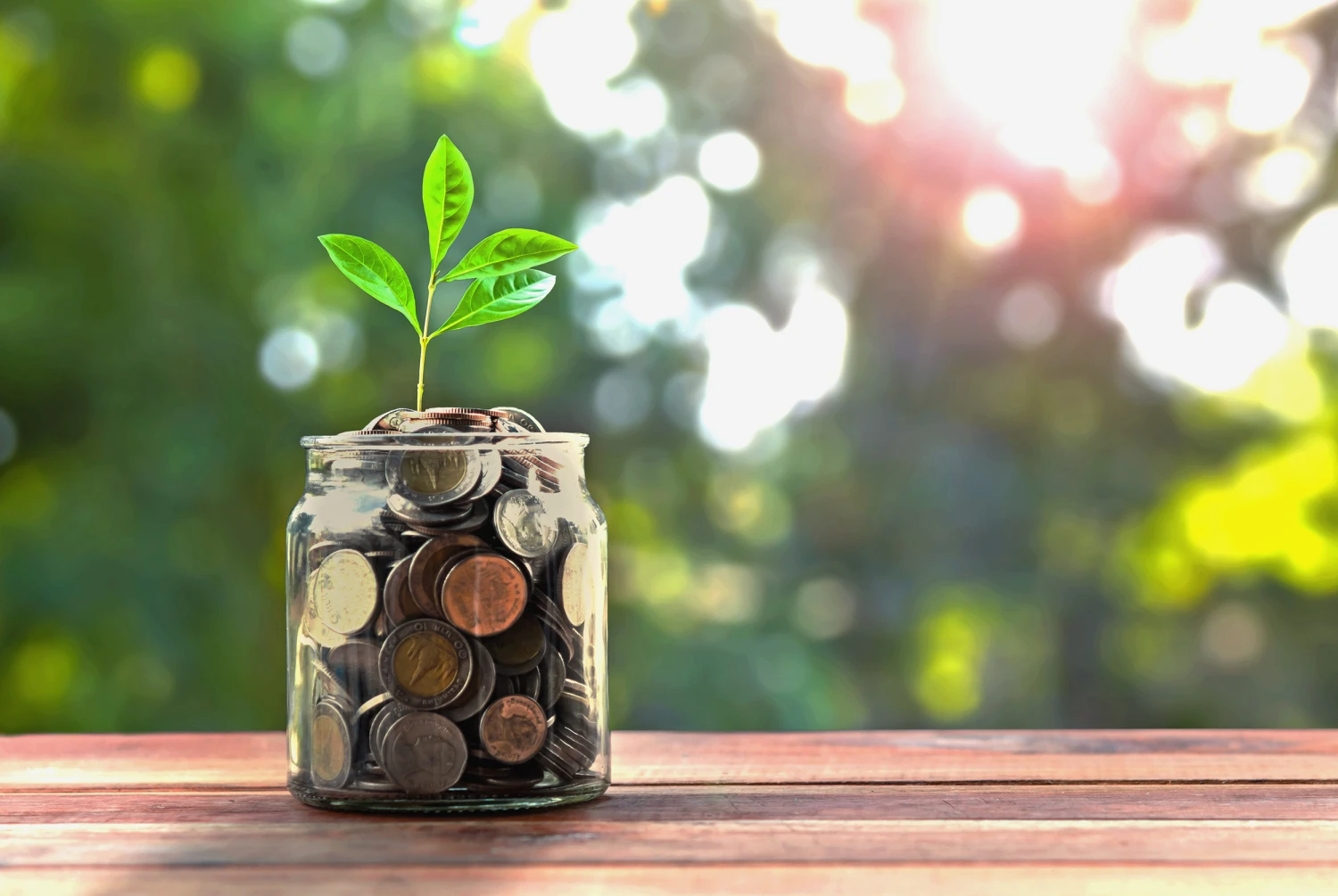 Home and financial planning concept